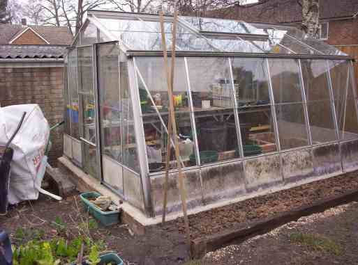 The Greenhouse I acquired