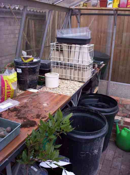 staging and potatoe bins