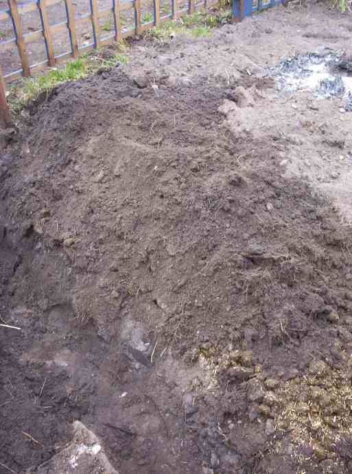 Double Trench digging view 2